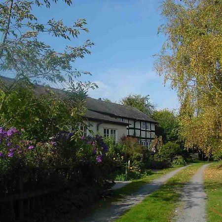 Yew Tree Cottage ลีโอมินสเตอร์ ภายนอก รูปภาพ