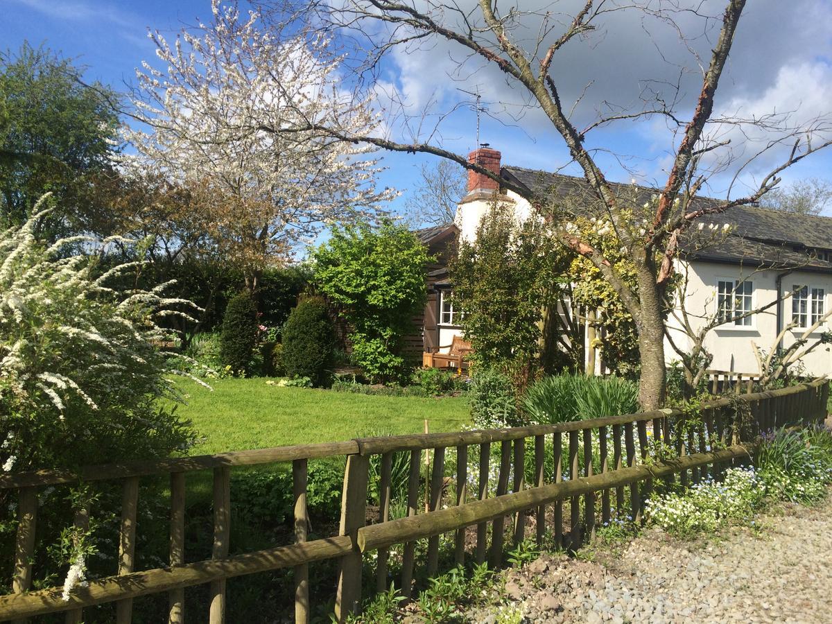 Yew Tree Cottage ลีโอมินสเตอร์ ภายนอก รูปภาพ
