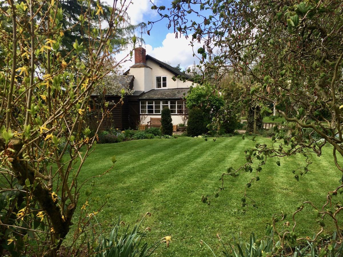 Yew Tree Cottage ลีโอมินสเตอร์ ภายนอก รูปภาพ