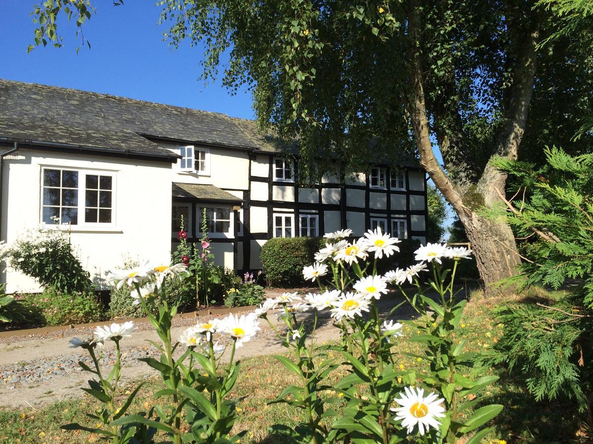 Yew Tree Cottage ลีโอมินสเตอร์ ภายนอก รูปภาพ